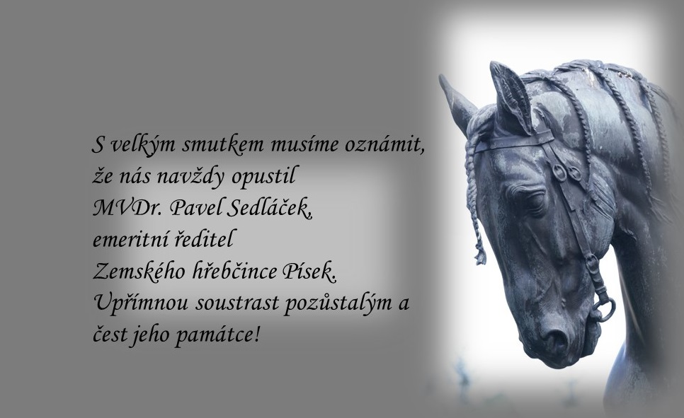 Sedláček.jpg