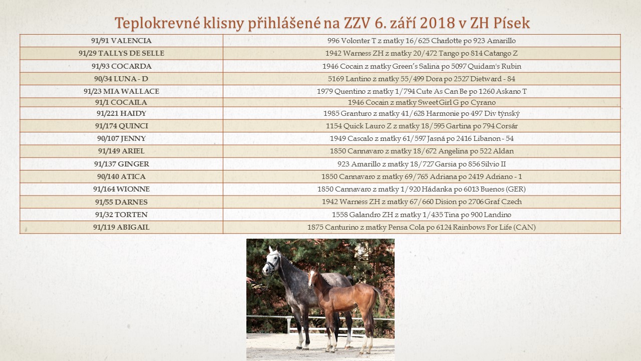 Zemský hřebčinec Písek s.jpg