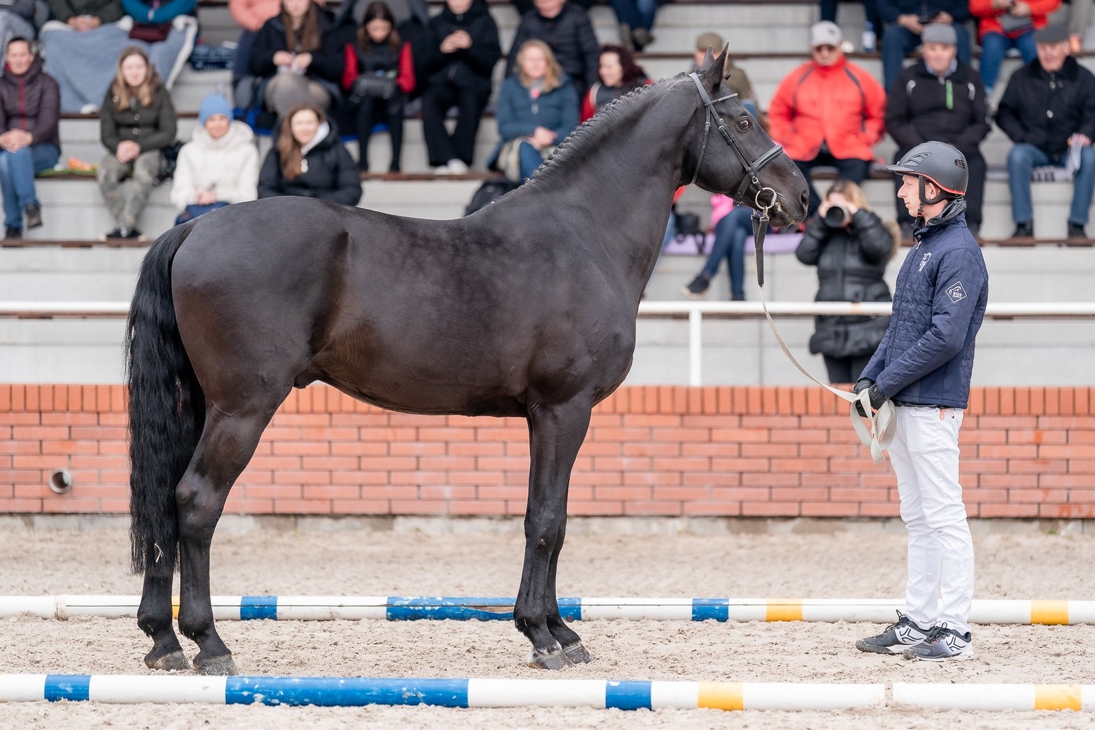 Jarní přehlídka 2025.jpg